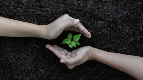 Conciencia Ambiental