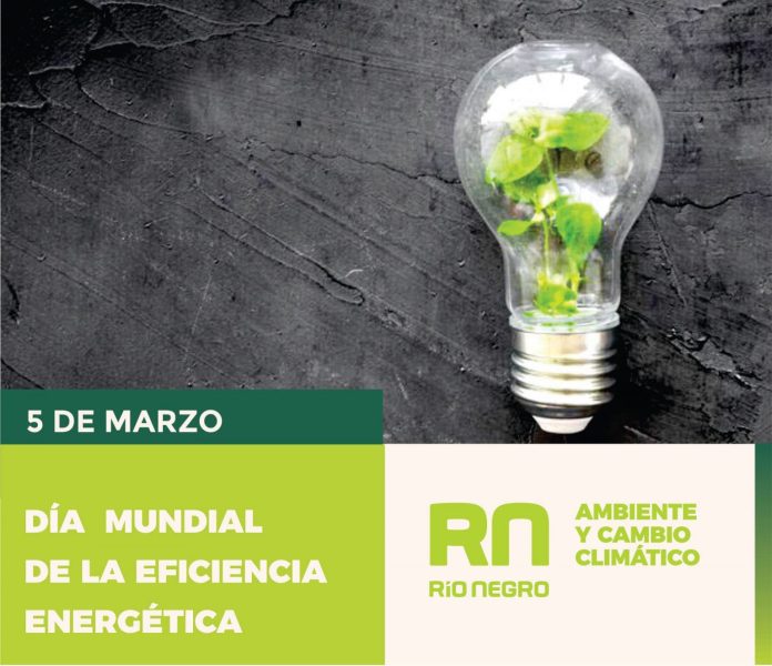 Eficiencia Energética: claves del Día Mundial que marcan el futuro del planeta ⚡💡