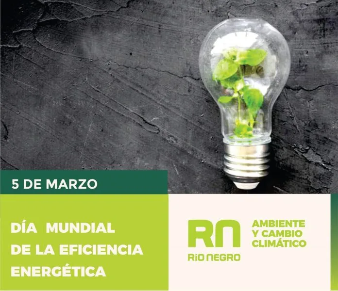 Día Mundial de la Eficiencia Energética 2026: la revolución silenciosa que puede salvar al planeta y reducir tu factura de luz