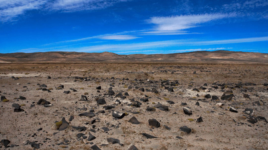 Río Negro acelera la remediación del suelo: el plan ambiental que podría cambiar el futuro productivo de la provincia