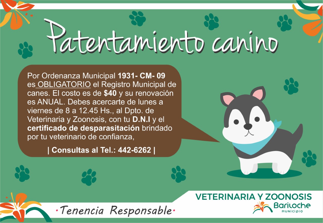 thumbnail_Zoonosis ficha patentamiento (1)