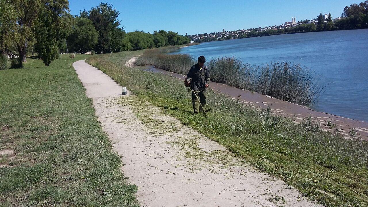 Desmalezamiento Costanera