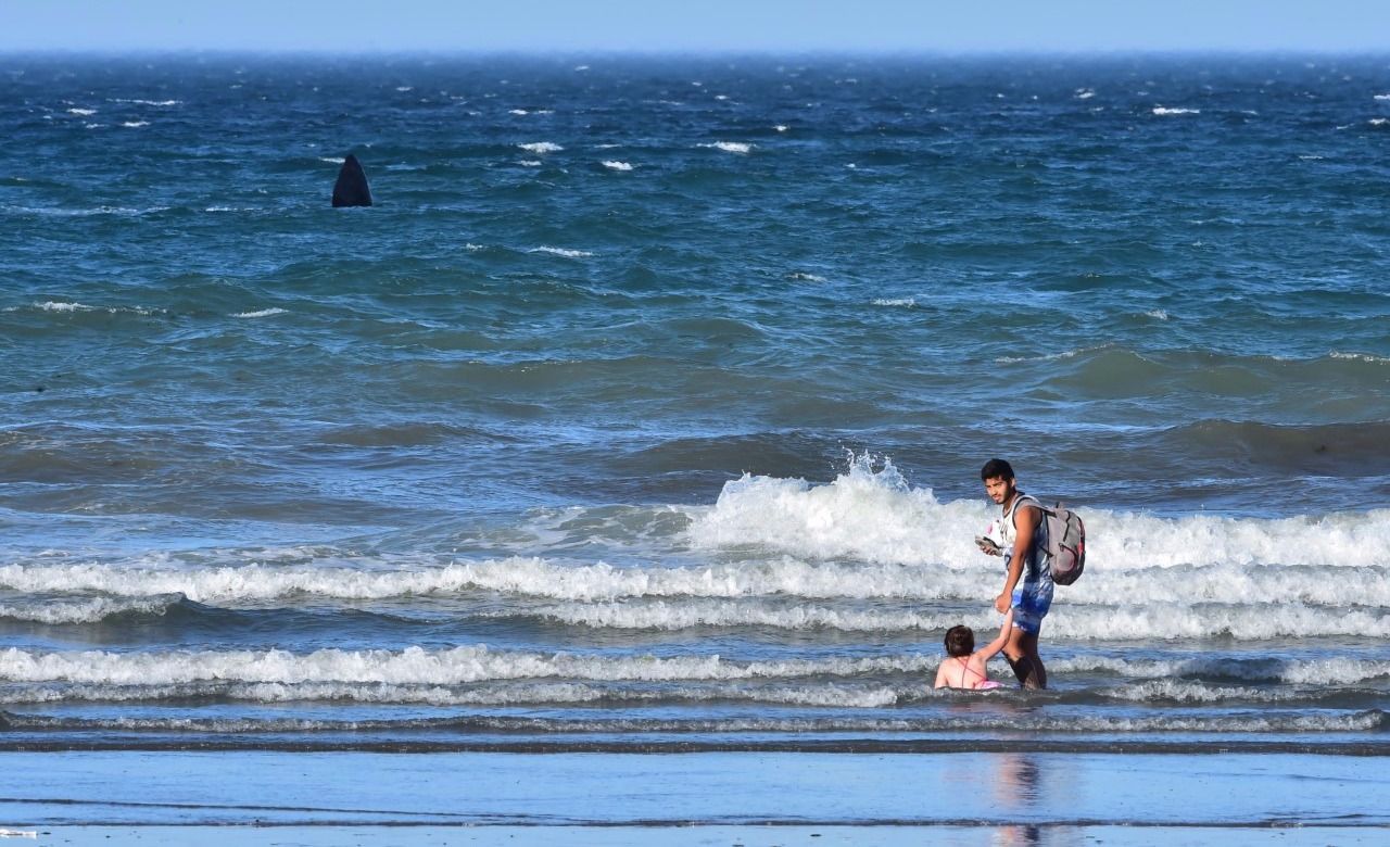 playa madryn