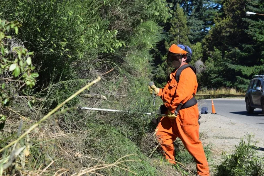 Bariloche: Trabajos en Villa Los Cohiues y Avda Pioneros