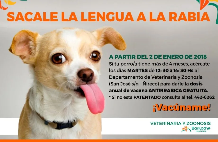 Comenzó la Campaña de Vacunas Antirrábicas gratuitas 2018 en Bariloche
