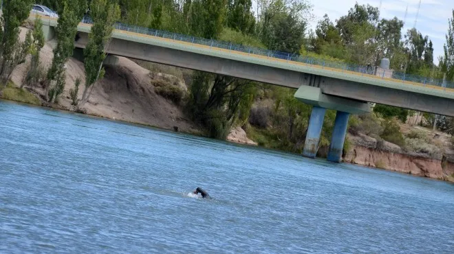Limpiaron vera del río Colorado