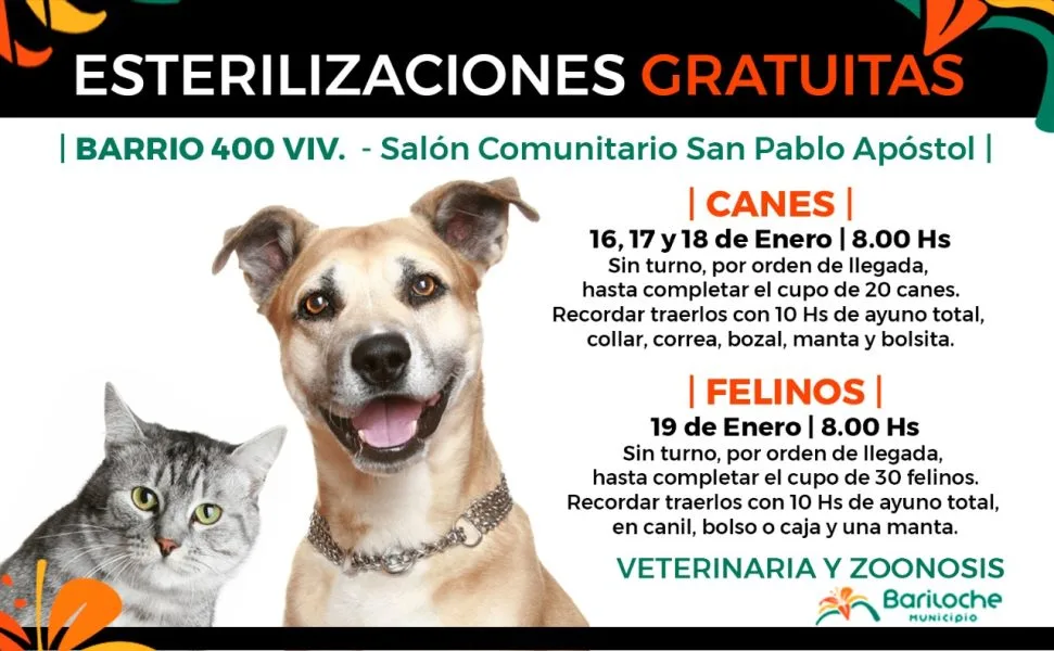 Cronograma de Campaña de esterilización gratuita en Bariloche: Del 16 al 19 de enero