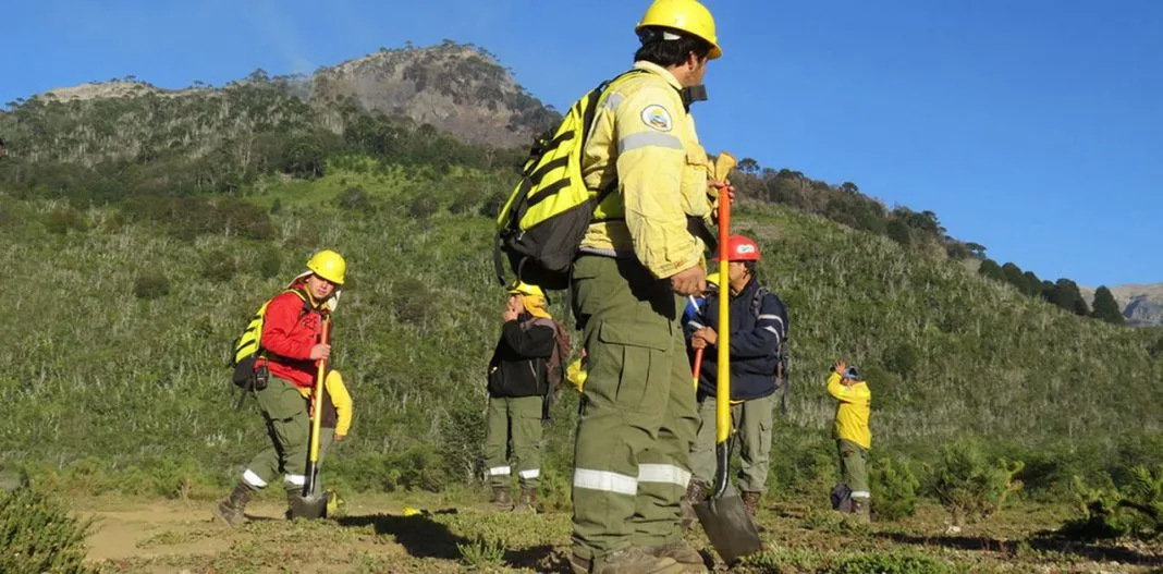 Designaron a 136 brigadistas en la planta eventual de la secretaría de Desarrollo Territorial y Ambiente de Neuquen
