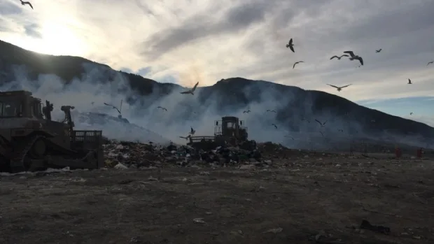 Fumigaron el relleno sanitario en Ushuaia