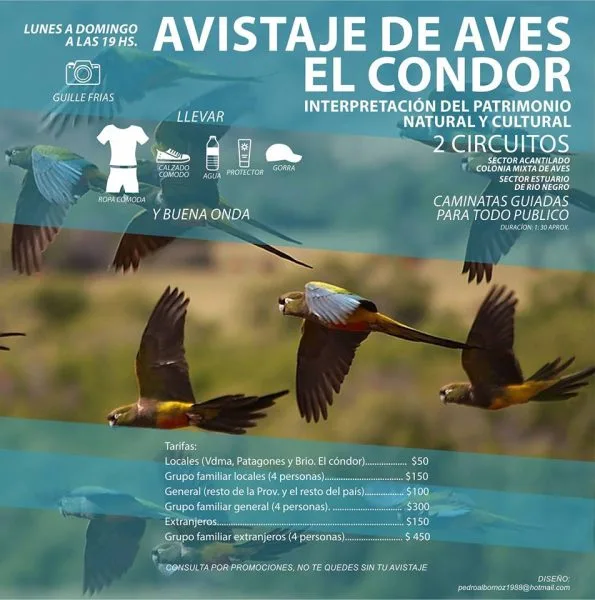 Inscripciones abiertas para las salidas de “Avistaje de Aves” en El Cóndor