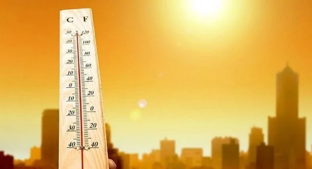 Las nuevas medidas que prepara el Gobierno para luchar contra el cambio climático
