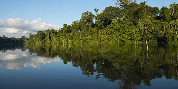 Perú cuenta con una nueva área natural protegida: Parque Nacional Yaguas