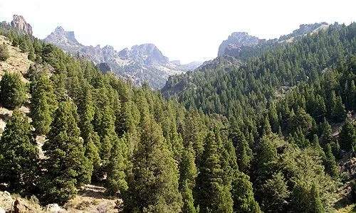 VIII Curso Internacional de Posgrado de Evaluación Ambiental Estratégica y Ordenamiento Territorial