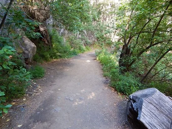 Senderos del Parque Municipal Llao Llao, cerrados por precaución