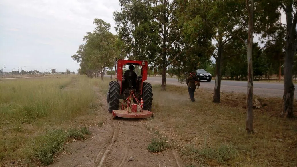Viedma: Limpiezas, desmalezamientos y medidas preventivas de incendios