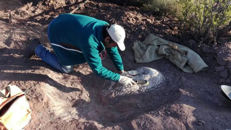 En Neuquén se encuentran restos de al menos tres dinos por mes