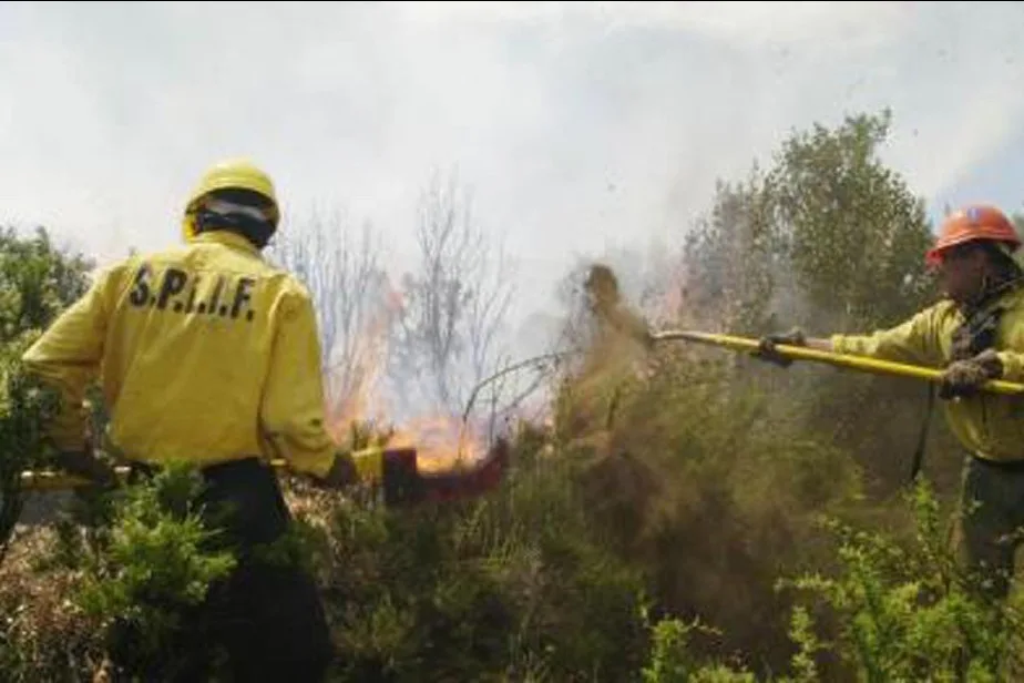 El SPLIF Bariloche intervino en 336 focos de incendios durante esta temporada