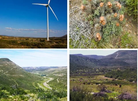 CONVOCATORIA A AUDIENCIA PÚBLICA DEL PROYECTO PARQUE EÓLICO LOTE 23 PRESENTADO POR LA EMPRESA RENERGY ARGENTINA S.A.