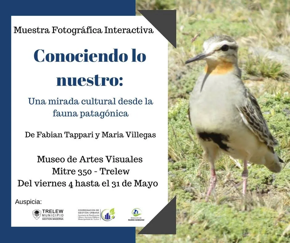 Muestra Fotográfica Interactiva en Trelew CONOCIENDO LO NUESTRO: UNA MIRADA CULTURAL DESDE LA FAUNA PATAGÓNICA
