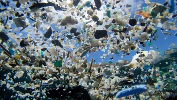 Comisión Europea advierte que para 2050 en los océanos habrá más plástico que peces