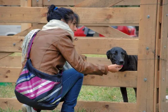 Actividades en el marco de los festejos del Día de Animal en General Roca