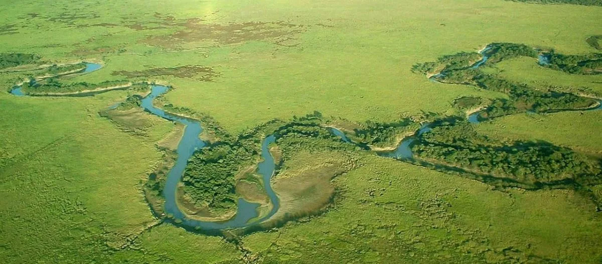 Debatirán la creación del Parque Nacional Iberá