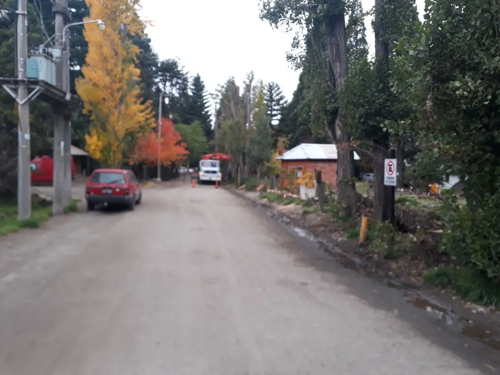 Trabajos de Parques y Jardines en Colonia Suiza y en el este de la ciudad
