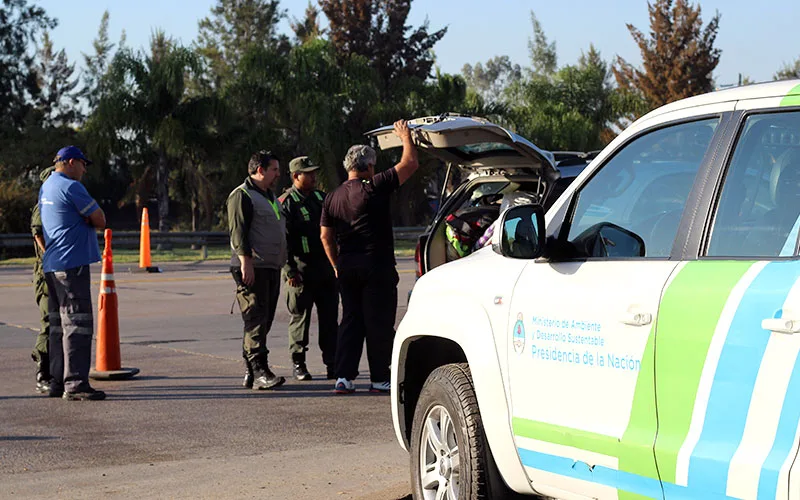 Caza furtiva: operativo en Zárate