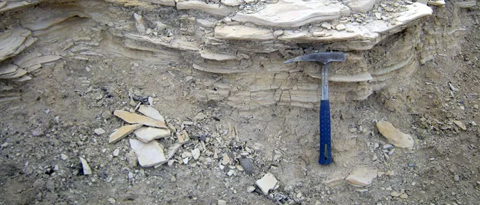 Curso sobre geología y paleontología del Alto Valle