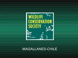 “Hay que avanzar más allá en armar las estrategias de conservación”