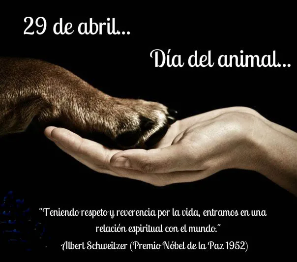 29 de Abril – Día del Animal