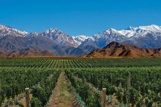 Mendoza será la tercera provincia en emitir Bonos Verdes para desarrollos de energías renovables
