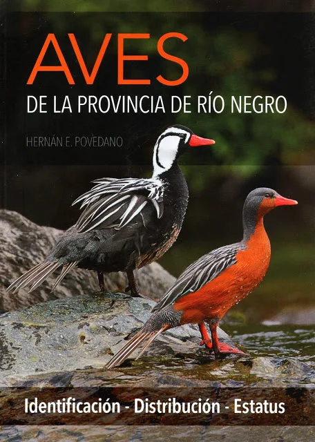 El libro “Aves de la provincia de Río Negro” se venderá en la Capital Federal