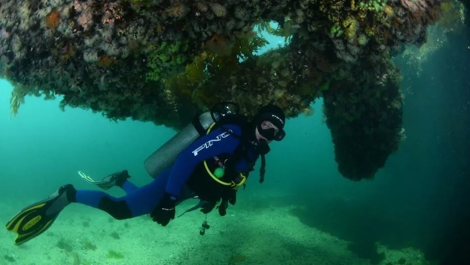 Así es el nuevo parque submarino de Puerto Madryn