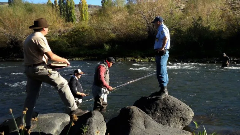 Neuquen: Decomisaron 200 kilos de piñones durante Semana Santa
