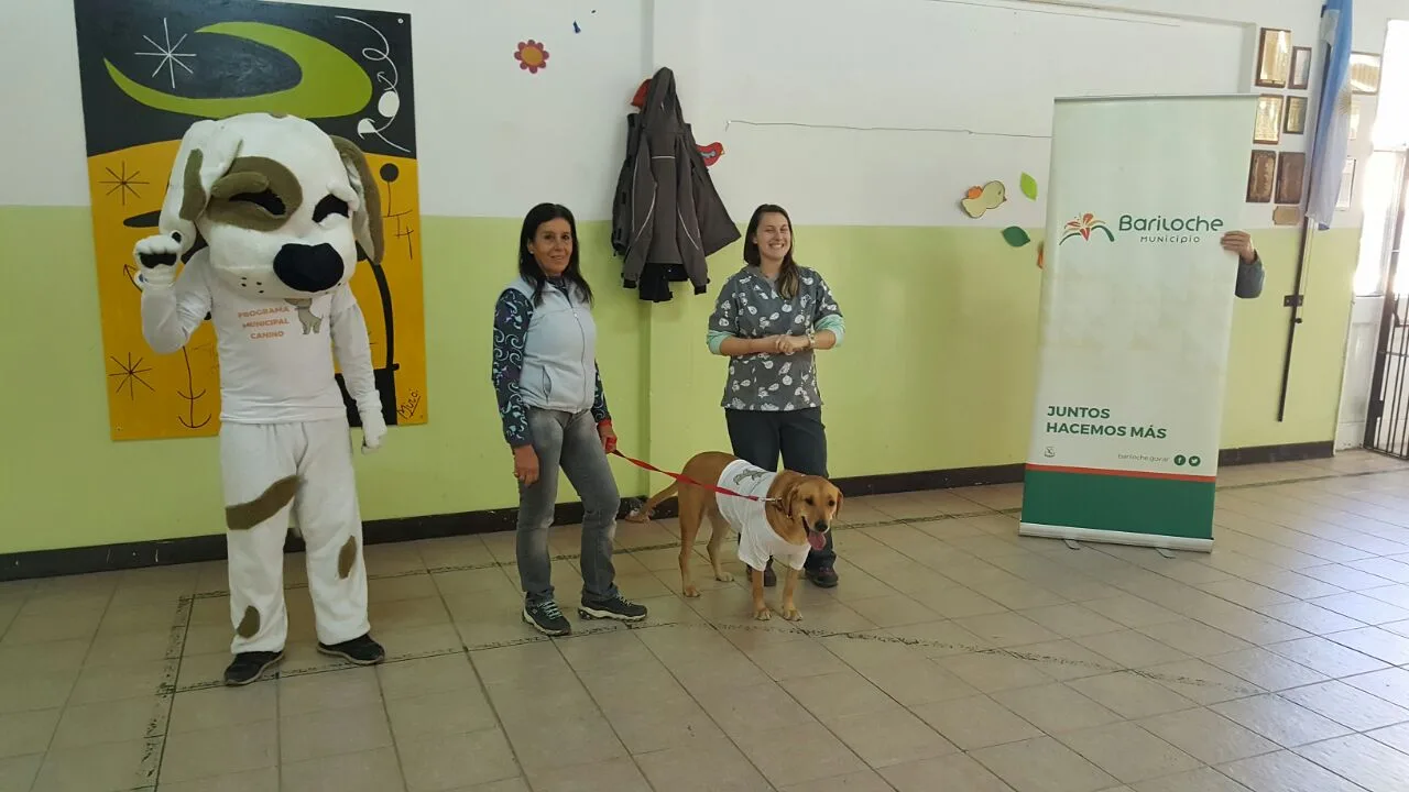 Bariloche: Comenzó la Semana del Bienestar Animal y Tenencia Responsable