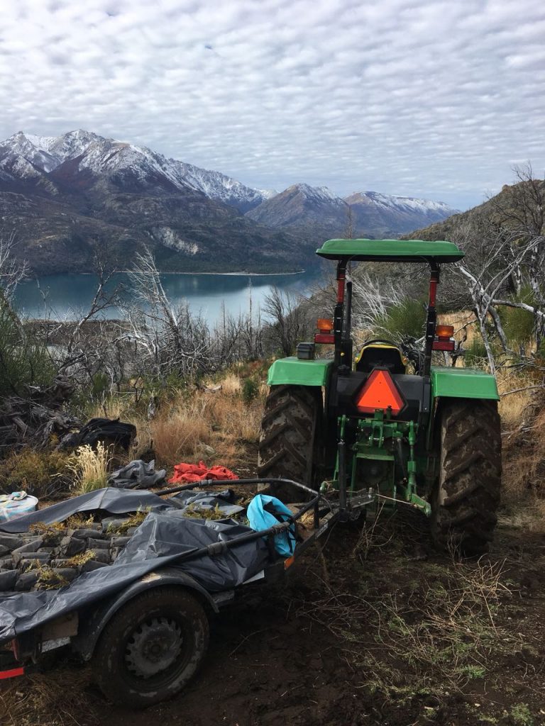 reforestación esquel