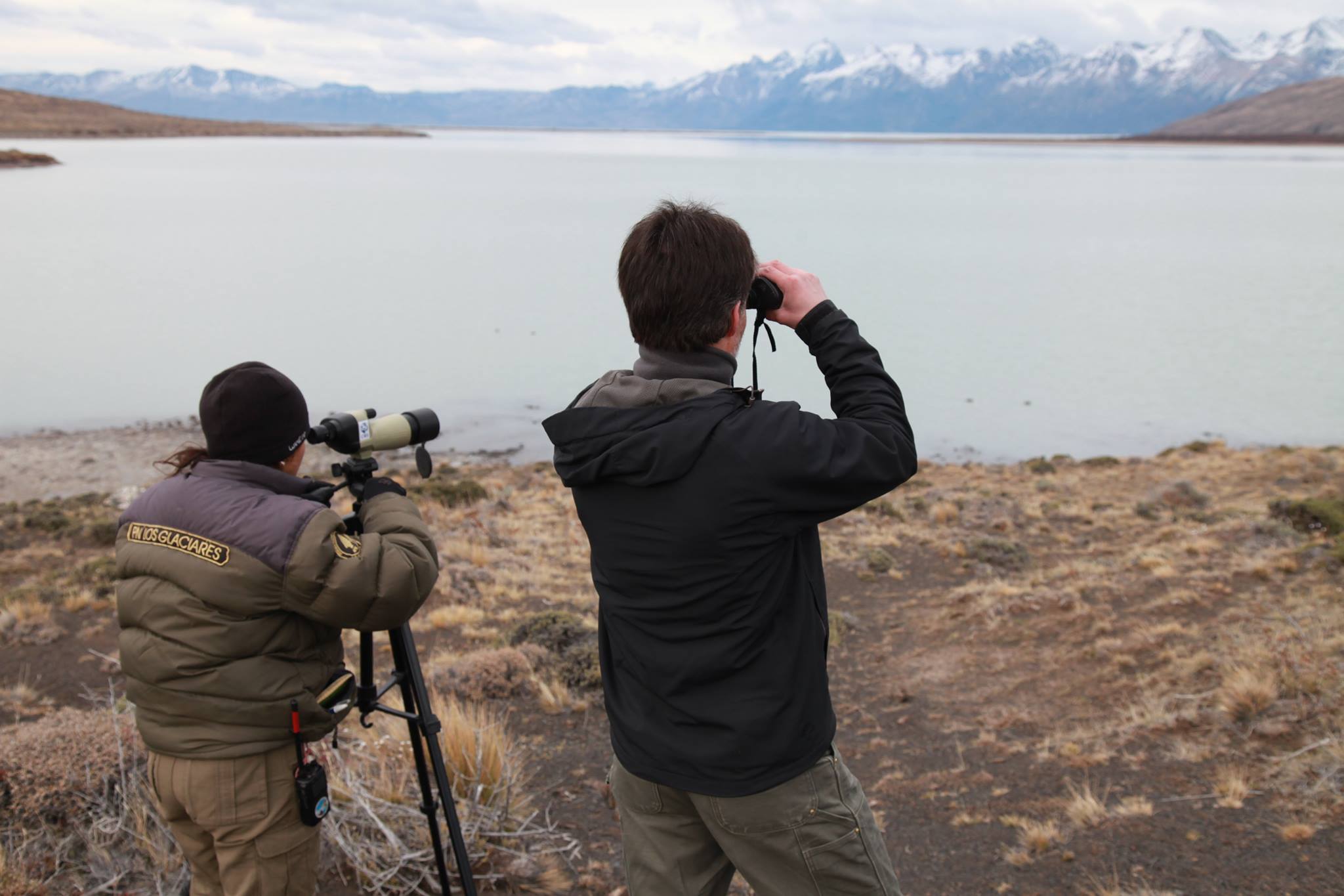 Censo Neotropical de Aves Acuáticas de invierno en el Parque Nacional LosGlaciares