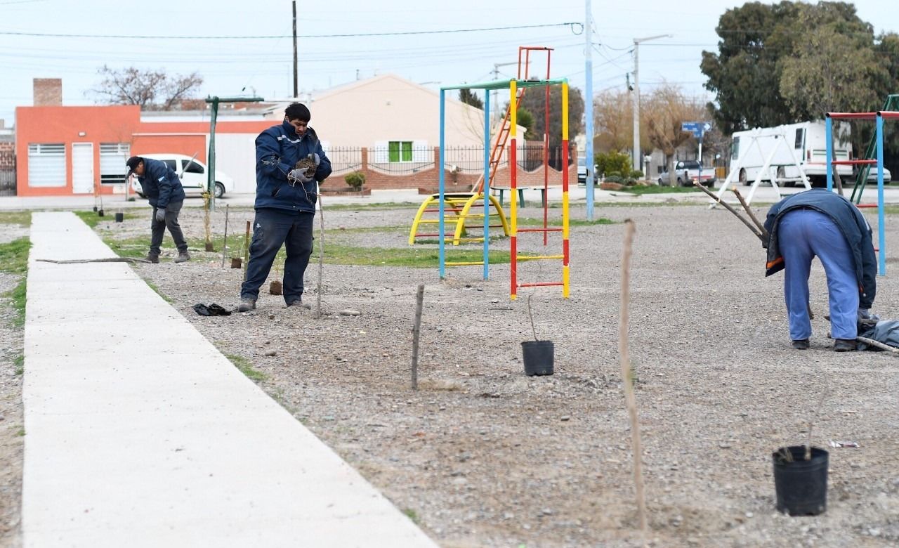 arboles trelew