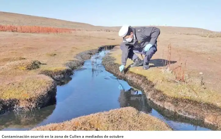 Contaminación ocurrió en la zona de Cullen a mediados de octubre Alcalde de Primavera recurre a Tribunal para la reparación de daño ambiental tras derrame de 720 mil litros de petróleo