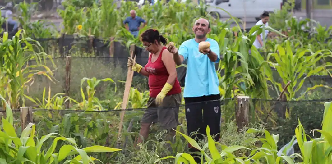 Primer concurso de agricultura urbana bajo estándares agroecologicos en Neuquén