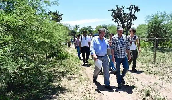 Restauración forestal: Ambiente visitó proyectos en la cuenca Salí-Dulce