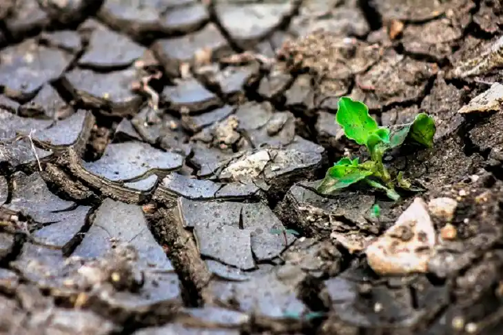 Informe del IPCC