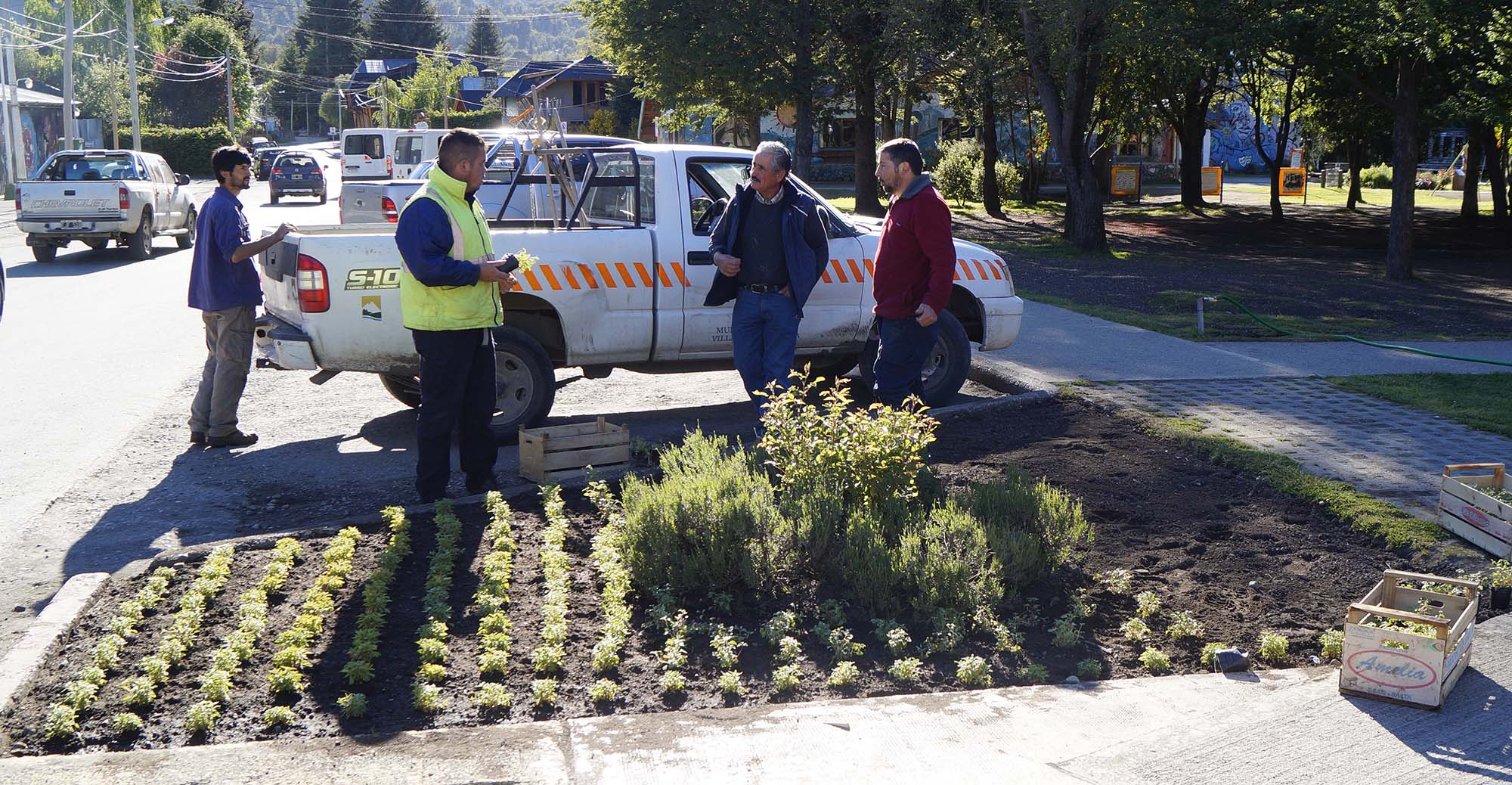 parques_y_jardines_plantas_plaza_pioneros_navidad_2