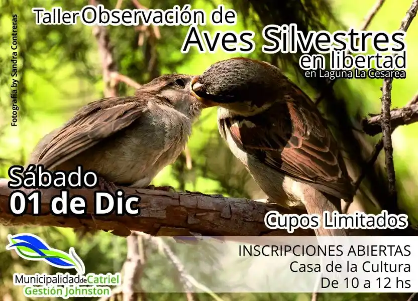 Catriel: Taller de Observación de Aves Silvestres en Libertad