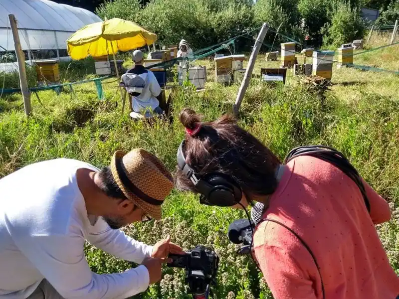 Se presentó el proyecto INNOVART de la UNRN en el Museo La Cárcova