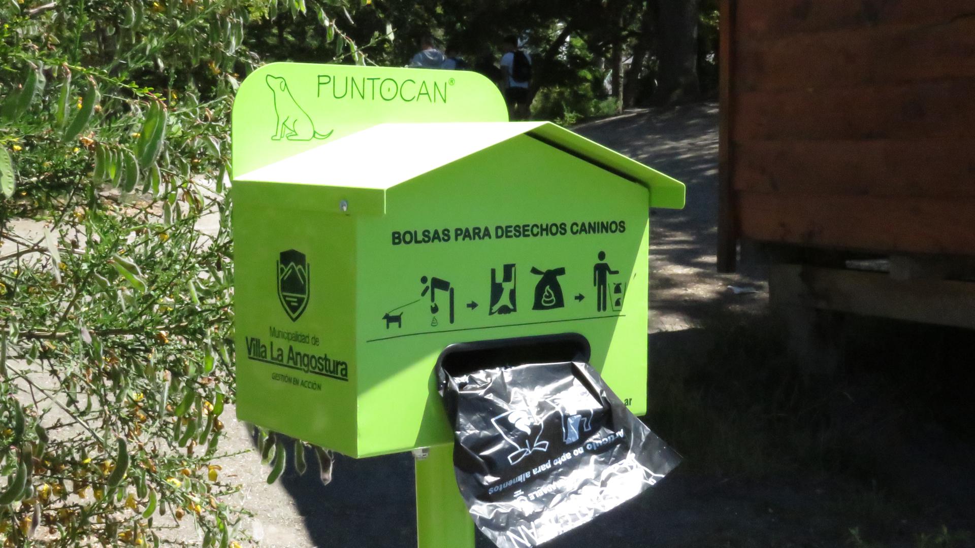 punto_can_2019_enero_5