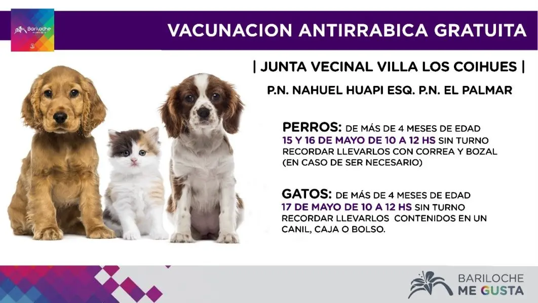 Bariloche: Campaña de esterilización y vacunación gratuita en Villa Los Coihues