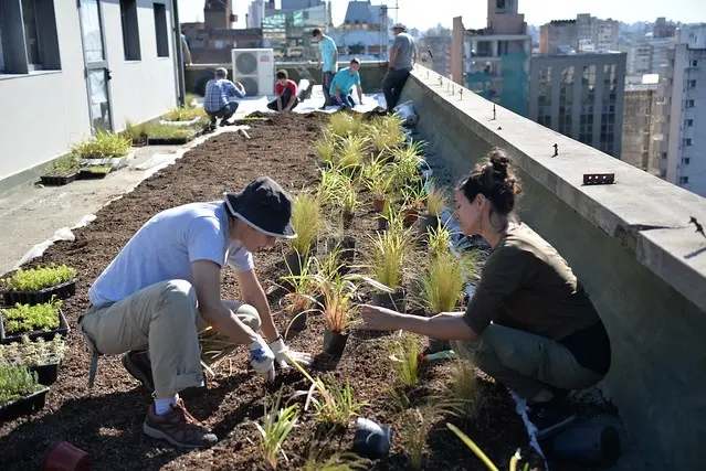 Córdoba sustentable: El Palacio 6 de Julio tiene su propia terraza verde