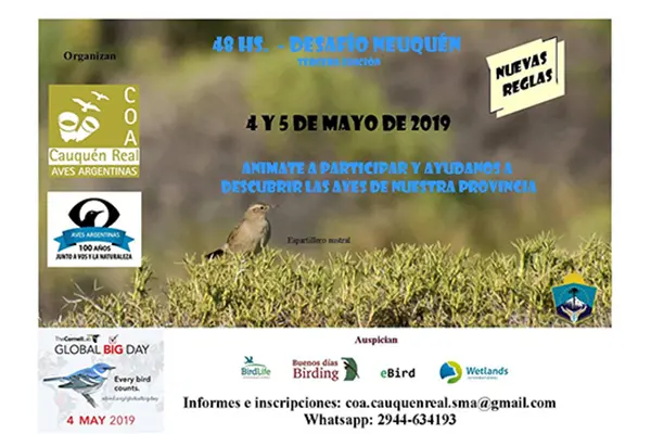 Invitan a participar de “48 hs. de Observación de Aves – Desafío Neuquén”